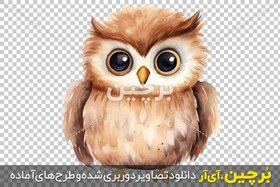 تصویر نقاشی آبرنگ بدون زمینه جوجه جغد بامزه 