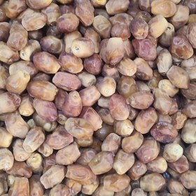 تصویر خرمای زاهدی 