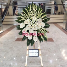 تصویر تاج گل معطر سپید 