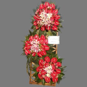 تصویر تاج گل آلنا 