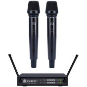 تصویر میکروفن Lewitt LTS 240 Dual C+D 