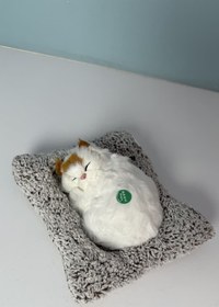 تصویر گربه موزیکال سفید خوابیده کوچک 