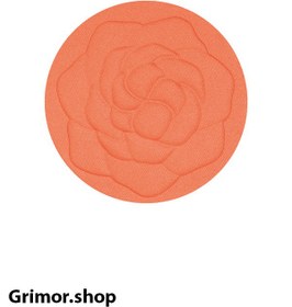 تصویر رژگونه پرتقالی پاستل مدل Show Your Happiness کد 206 