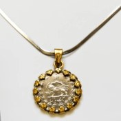 تصویر گردنبند بلتاگالری مدل سکه 