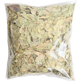 تصویر برگ سنا 