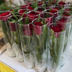 تصویر گل شاخه ای رز فلوبار 