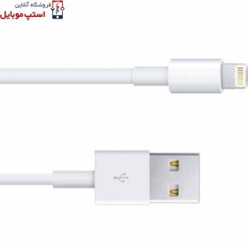 تصویر شارژ یو اس بی اپل A1401 با توان ۱۲ وات 12W USB Power Adapter A1401