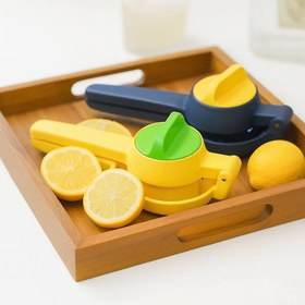 تصویر آبمیوه گیر سیتروس 