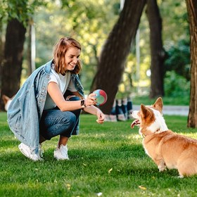 تصویر اسباب بازی 2 بسته توپ لاستیکی سگ، توپ آموزش و جویدن سگ برند: Naroume کد : AB 730 Toy 2 packs of dog rubber balls, dog training and chewing balls Brand: Naroume Code: AB 730