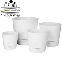 تصویر گلدان لیلیوم سایز 3 ( 12تایی ) 