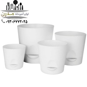 تصویر گلدان لیلیوم سایز 3 ( 12تایی ) 