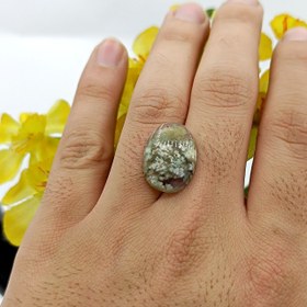 تصویر نگین شجر طبیعی کد ۱۲۰۸۵ 