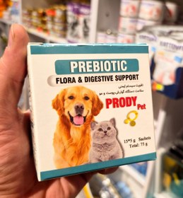 تصویر پودینگ پرو بیوتیک 