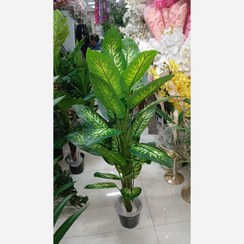 تصویر درختچه مصنوعی دیفن باخیا 