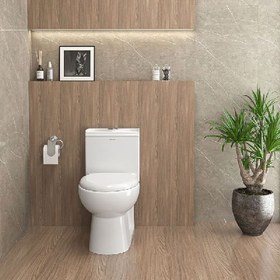 تصویر توالت فرنگی چینی کرد مدل لوییزا درجه یک 