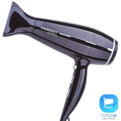 تصویر سشوار پرینسلی مدل PR238 ا Princely PR238 Hair Dryer Princely PR238 Hair Dryer