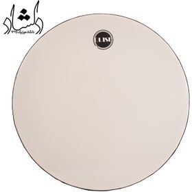 تصویر دف پالس ساده 