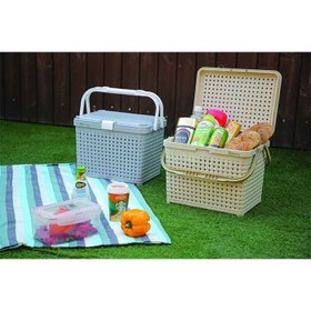 تصویر سبد پیک نیک دربدار کوچک مایا 