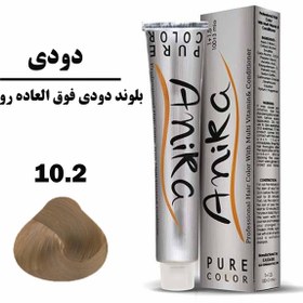 تصویر رنگ مو آنیکا (Anika) شماره 10.2 رنگ بلوند دودی فوق العاده روشن حجم 100 میلی‌ لیتر 