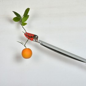 تصویر قیچی باغبانی (میوه چین) دسته بلند(دو متری) بدون اره شاخه بر 