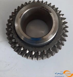 تصویر فروشگاه قربانی تهران