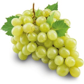 تصویر انگور بی‌دانه سفید white seedless grapes