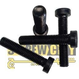 تصویر آلن باسر گل کوتاه 