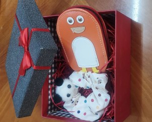 تصویر پک ولنتاین کد pnap 