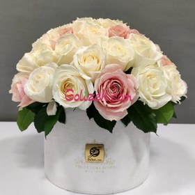 تصویر باکس گل خواستگاری ملیح 