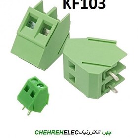 تصویر ترمینال 2P پین45 درجه DG~KF-103 