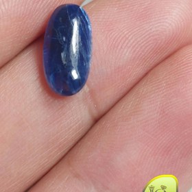 تصویر نگین کیانیت 