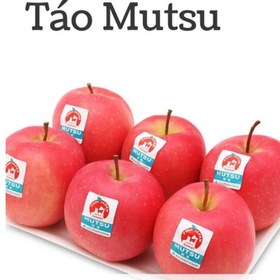 تصویر نهال سیب تائو متسو ژاپنی 