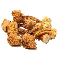 تصویر قارچ بادام 