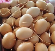 تصویر خرید و قیمت تخم مرغ محلی درجه ۱ - ۱ تایی 
