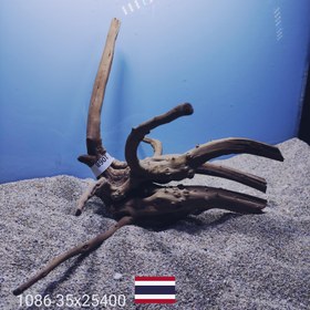 تصویر ریشه آبنوس کد1080 ارسال این ریشه رایگان می باشد