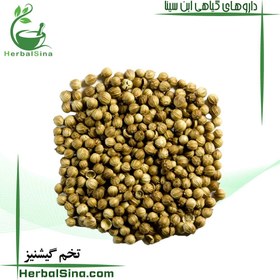 تصویر تخم گشنیز 