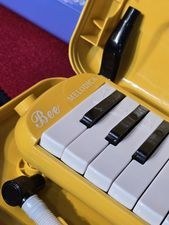 تصویر ملودیکا 37 کلسد bee 