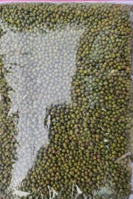 تصویر ماش درجه یک ۵۰۰ گرم 