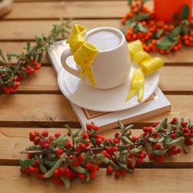 تصویر ست پاپیون زرد 