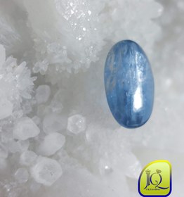 تصویر نگین کیانیت 