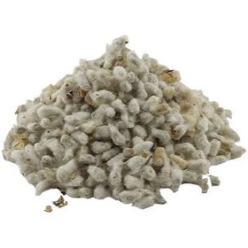 تصویر پنبه دانه 100 گرمی 