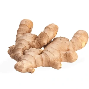 تصویر فروشگاه عطاری مظفری