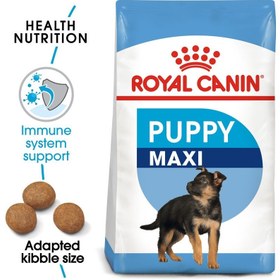 تصویر غذای خشک ماکسی پاپی برای سگ‌های بزرگ - ۴ کیلوگرم چندرنگ برند royal canin Maxi Puppy - Dry Food For Large Dogs Multicolour 4kg