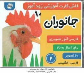 تصویر فلش کارت آموزشی زود آموز جانوران 2 ( مرتضوی کرونی ) 1 سال به بالا 