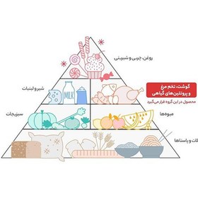 تصویر کنسرو لوبیا چیتی با قارچ سمیه 