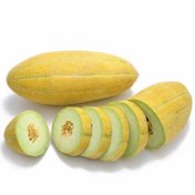 تصویر بذر خربزه خاتونی 30 عددی