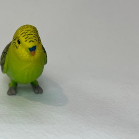 تصویر مرغ عشق سبز mojo کد ۳۸۷۲۶۲ Mojo Budgerigar green