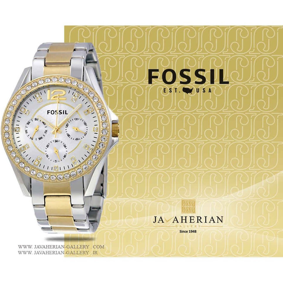 Es3204 fossil 2025