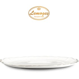 تصویر دیس بیضی ریوان بزرگ 