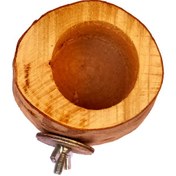 تصویر دانخوری چوبی طبیعی پرنده 